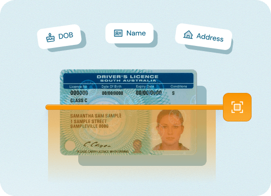 Investment Illustration