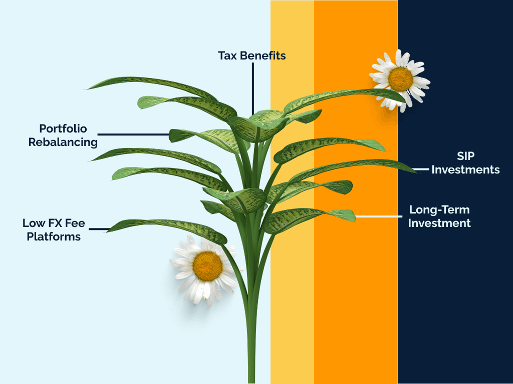 Illustration related to the topic discussed in the article