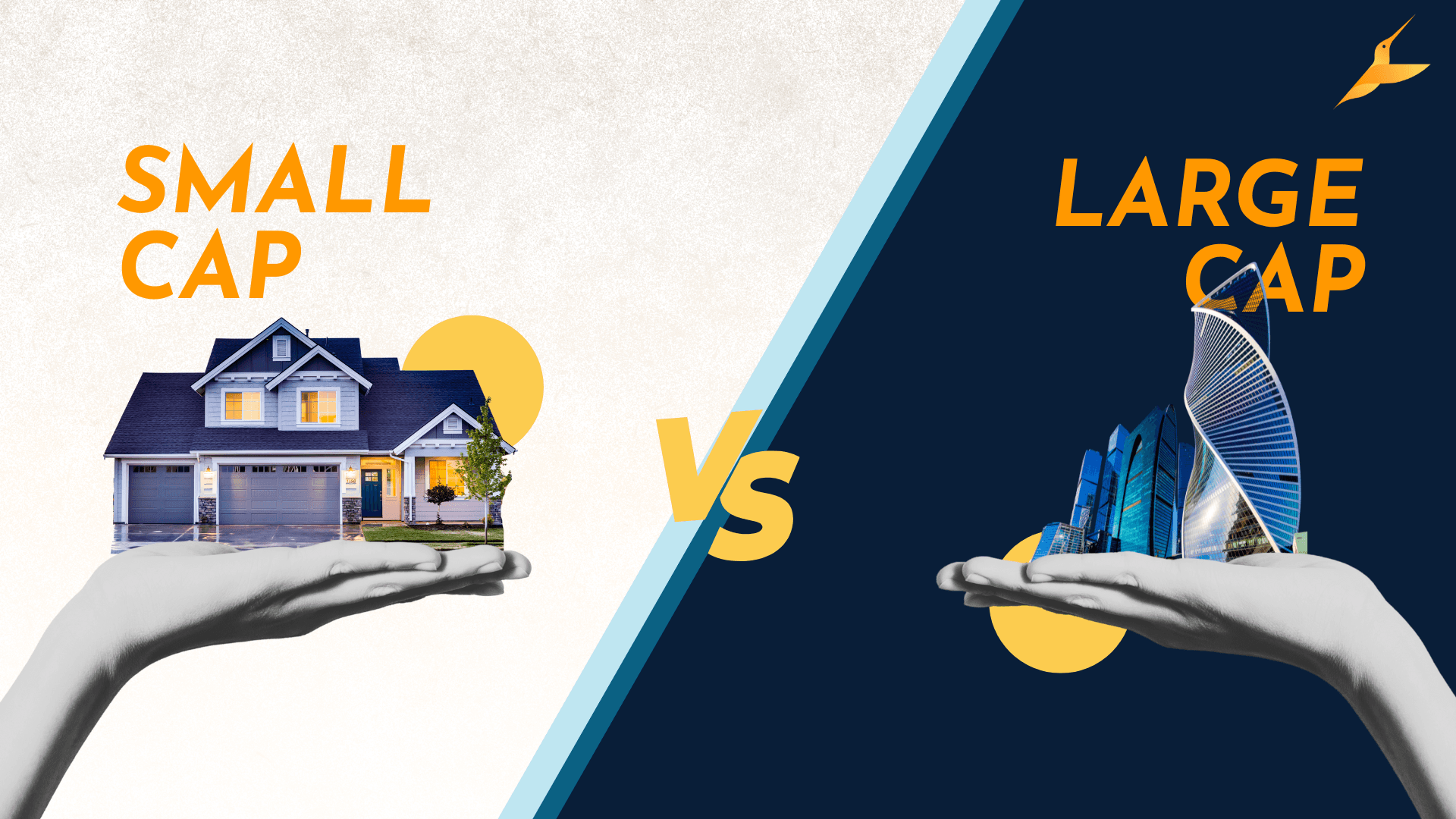 Small Cap vs Large Cap NRI Equity Funds: Analyzing risk for NRIs